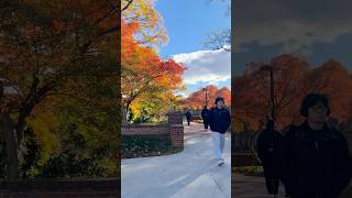 Day in the life: Biological Sciences student┃University of Maryland #premed