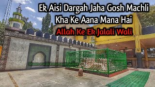 Ek Aisi Dargah Jaha Gosh Machli Kha Ke Aana Mana Hai | Kabnur Dargah | Dargah vlog | Kolhapur