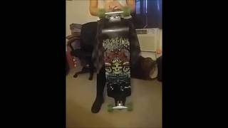 Rimable 41 Inch Drop Deck Complete Longboard