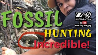 Texas Fossils/ Fossil Hunting w/ Friends