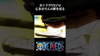 【MAD】カイドウvsゾロ 亡きおでんの影を見る #ワンピース #onepiece #アニメ