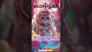 ElonXCat Brings Joy, Memes, and Crypto Together 🌟 || ELONXMUSK \u0026 SPACEX MEME COIN ||