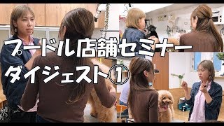 プードル　トリミング店舗セミナー　ダイジェスト①　高橋舞　poodle grooming