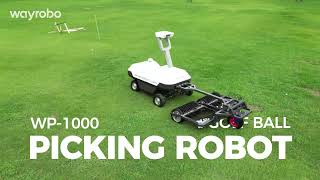 WP1000 Autonomous Golf Ball Picking Robot | Wayrobo | Next-Level Golf Field Management