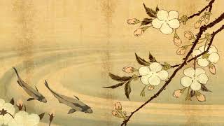 Traditional Japanese Music | Koi Pond | Shamisen, Koto & Taiko Music