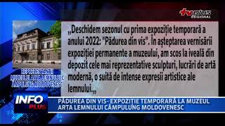 PADUREA DIN VIS  EXPOZITIE TEMPORARA LA MUZEUL ARTA LEMNULUI CAMPULUNG MOLDOVENESC 1