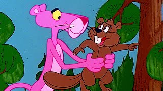 Pink Panther \u0026 Pets | 10-Minute Compilation