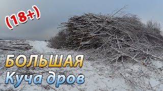 БОЛЬШАЯ куча дров за моим домом. Мелиорация дорог.