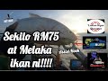 Sekilo RM75 at Melaka - kayak fishing Malaysia #hafizangler #koburujig #mancingmania #kayakfishing