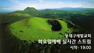 250121- 동대구새빛교회실시간스트림