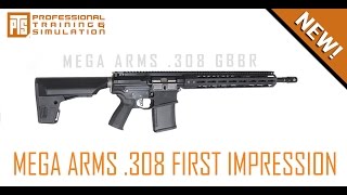 PTS MEGA ARMS .308 MATEN FIRST IMPRESSION