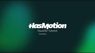 Visual3D Tutorial 3: Command Pipeline