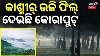 କାଶ୍ମୀର ଭଳି ଫିଲ୍‌ ଦେଉଛି କୋରାପୁଟ | Cold Wave Grips Koraput District | Koraput Winter | Odia News