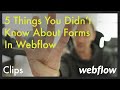 6 Things You Might Not Know About FORMS in Webflow