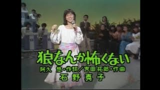 石野真子　狼なんか怖くない