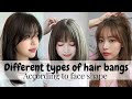 types of hair bangs according to face shape with names|| the trendy girl