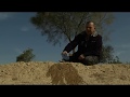 Growing Forests in the Desert