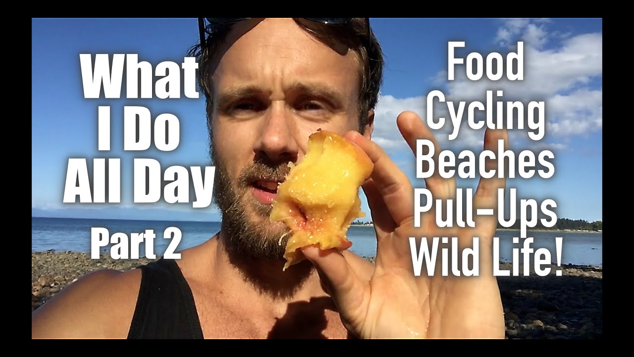 A Day In The Life Food Vegan Athlete Nutritionist Part 2 Of 2 A Day In The Life Food Vegan Athlete Nutritionist Part 2 Of 2