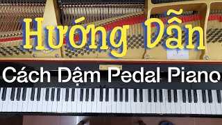 Cách Dậm Pedal Piano | Hướng Dẫn Cách Dậm Pedal Dễ Nhất Khi Chơi Piano | Tuấn Lưu Piano