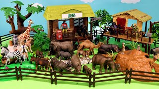 Fun Young and Big Animal Figurines on Animal Shelter Set