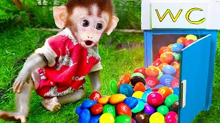 Smart Baby monkey Bi Bon goes to buy M&M candy and magic toilet | Funny Monkey Cartoon Videos