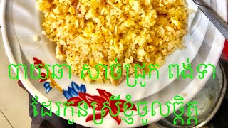 បាយឆា សាច់ជ្រូកពង់ទា / fried rice with pork and egg