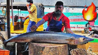 KASIMEDU SELVAM🔥GIANT ARA KOLA FISH🐟 CUTTING VIDEO💥 #kasimeduselvam #fishcutting #youtubeshorts