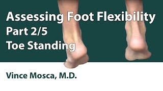 Assessing Foot Flexibility: Part 02 (Toe Standing)