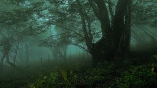 Epic Japanese Music - Shadegrass Forest