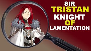 How Accurate is FGO's Tristan?