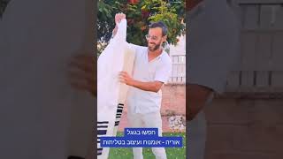 והפעם.. טלית עם פסים בצבע כחול עמוק וביטנה פנימית לשמירה על הטלית | אוריה - אומנות ועיצוב בטליתות