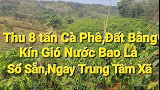 (số 694)Vườn Cà Phê Thu 8 tấn Ngay Trung Tâm Xã Thế Đất Bằng Phẳng Kín Gió Nhanh Thu Hồi Vốn