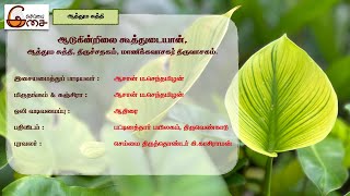 ஆடுகின்றிலை கூத்துடையான், ஆத்தும சுத்தி, திருச்சதகம், மாணிக்கவாசகர் திருவாசகம்.