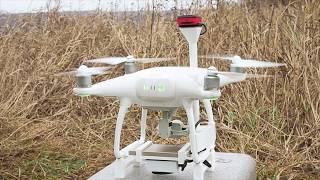 Мультиспектральная съемка с дрона DJI Phantom 4 для сельского хозяйства с Parrot SEQUOIA