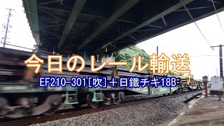 JR貨物 2024/10/28 今日のレール輸送 8090レ EF210-301牽引日鐵チキ18B東海道本線