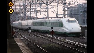 【上越新幹線】E2系J66編成（200系カラー） 1333C とき333号 新潟駅到着