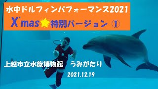 水中ドルフィンパフォーマンス、X'mas特別バージョン①・上越市水族館うみがたり（2021.12.19）