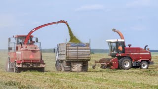 Silage 2022 / MTZ 3522 + KPR-9 / MTZ 82 + GRL-9,6 / 2 KVK-800, a lot of MAZs and MTZ 3022 + PMF-20 /