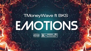 TMoneyWave ft BKS - Emotions (Visualizer)