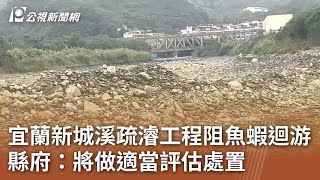 宜蘭新城溪疏濬工程阻魚蝦迴游 縣府：將做適當評估處置｜20240227 公視中晝新聞