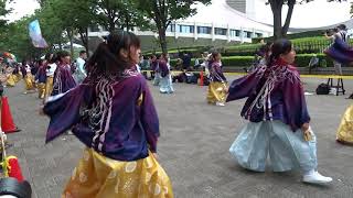 ヌイチュックさくらよさこいチーム／NHK前ストリート／原宿表参道元氣祭スーパーよさこい 2017（初日）