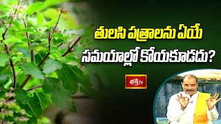 తులసి పత్రాలను ఏయే సమయాల్లో కోయకూడదు? | Dr.Kakunuri Suryanarayana Murthy |  Dharma Sandhehalu