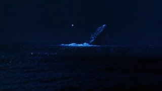 SOS Titanic (1979) with 1997 Breakup!