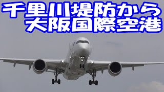 大阪国際空港を発着する飛行機を千里川土手から見る　2024 7.3