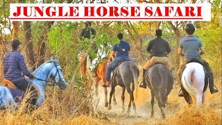 MOUNTAIN & FOREST HORSE SAFARI at SARA STUD & FARM , Bhiwandi , Maharashtra