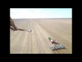 Wedge-tailed eagle captured swooping on drone