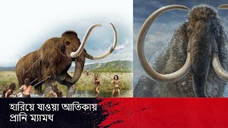 হারিয়ে যাওয়া এক অতিকায় প্রাণী ম্যামথ | Mammoth | Elephantidae | African Animal