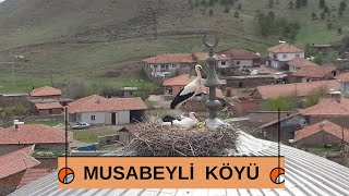 Yozgat Musabeyli Köyü Tanıtım. Belgesel  Yozgat Musabeyli Village Promotional Documentary