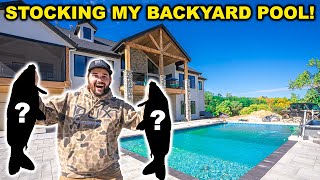 Stocking GIANT FISH in My BACKYARD SWIMMING POOL!!! (Wife Wasn't Happy...)