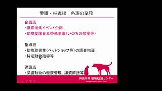 13/48   職種紹介〜神奈川県職員を志す皆さんへ〜（獣医師１）